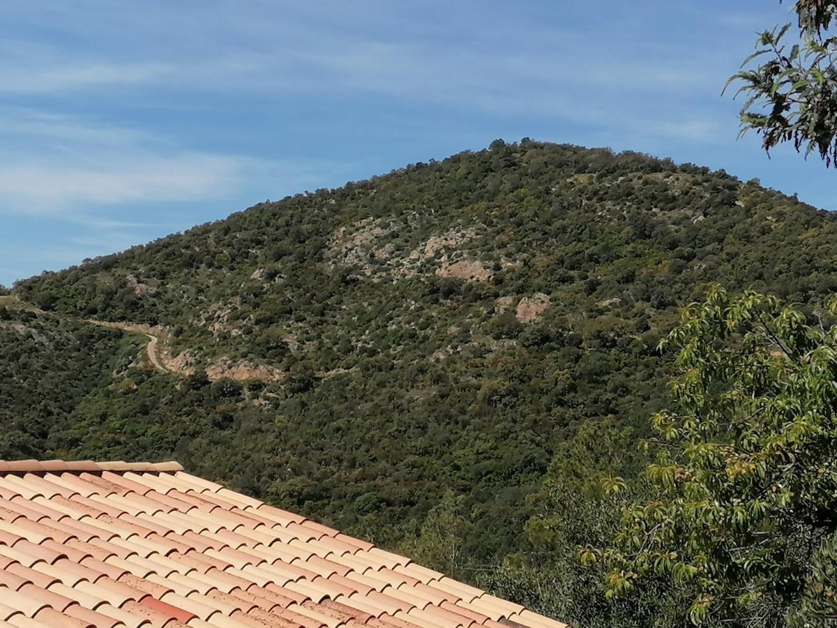 Tres Bel Appartement T3 Avec Splendide Vue Mer Les Issambres Exterior foto